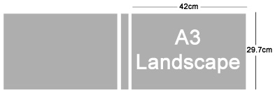a3 (1)